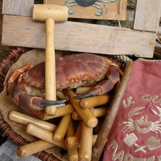 Ceci est un crabe3